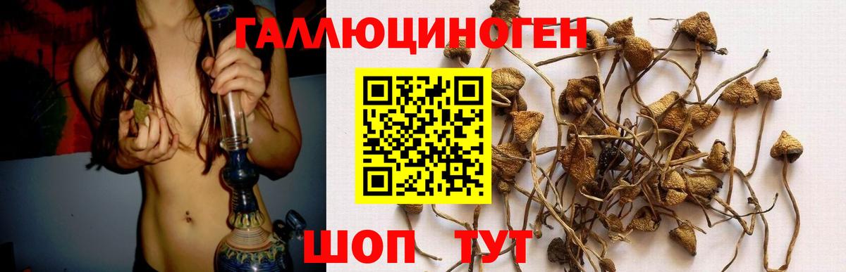 Псилоцибиновые грибы Psilocybe  Галлюциногенные грибы мицелий  Чайковский  Вход с VPN 